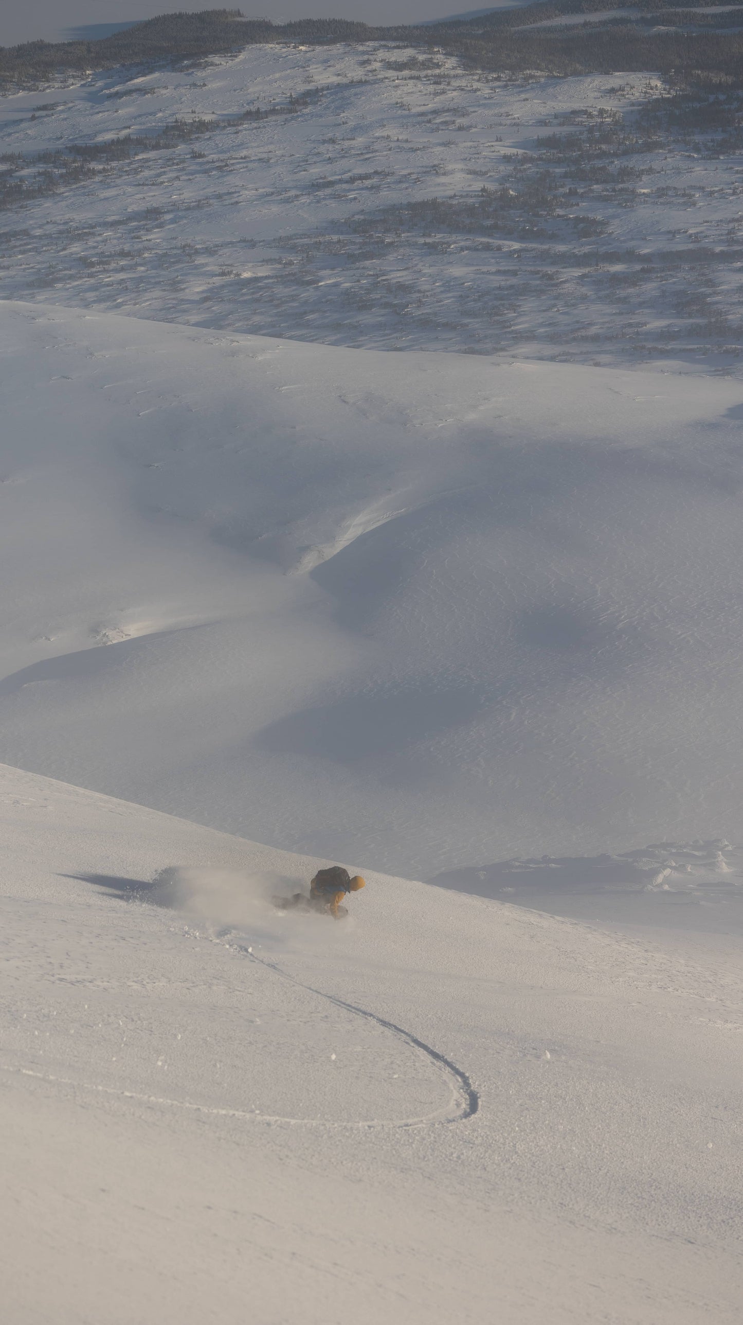 Freeride Åreskutan