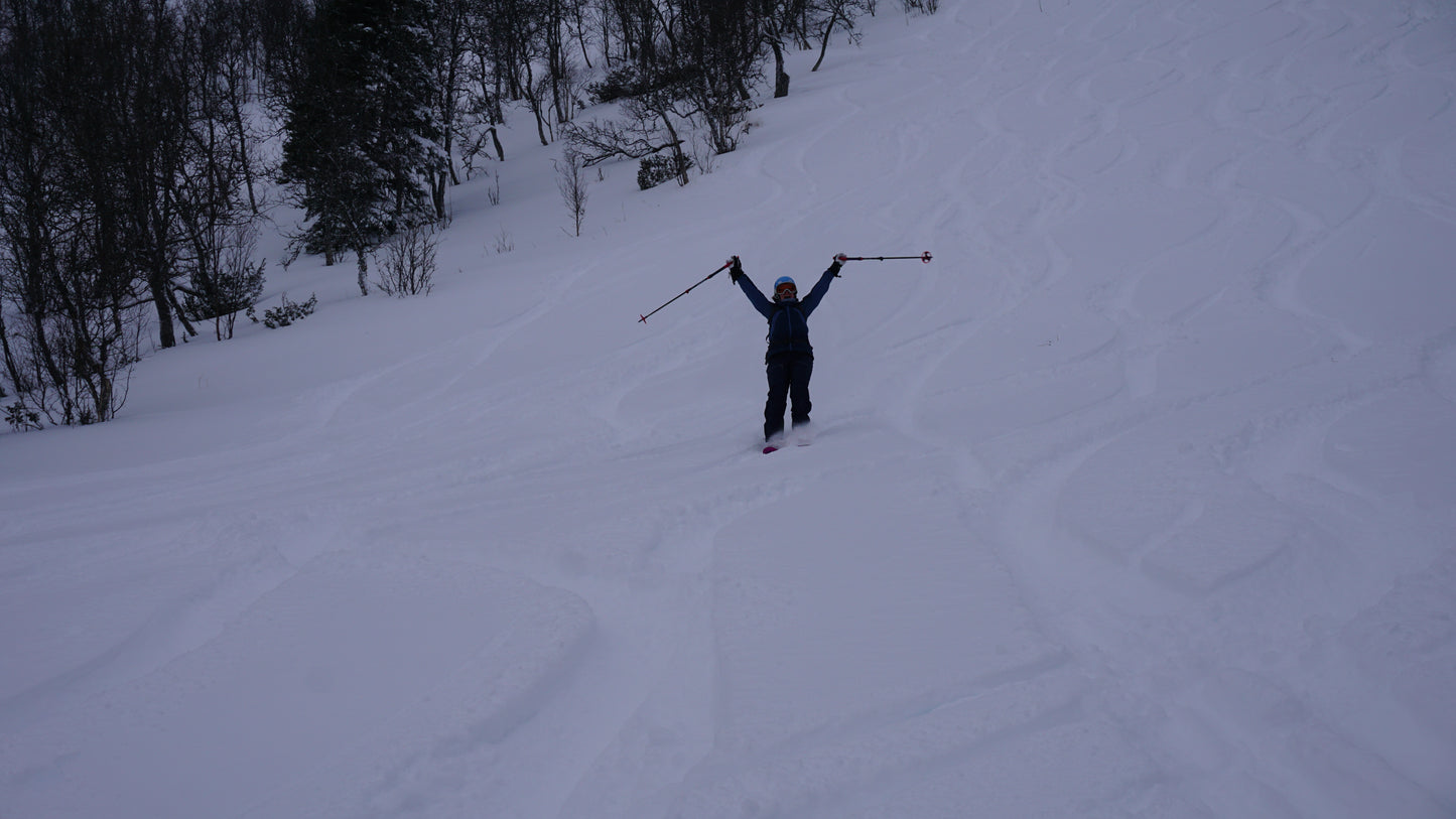 Freetouring Lavin- & Toppturskurs, Enaforsholm