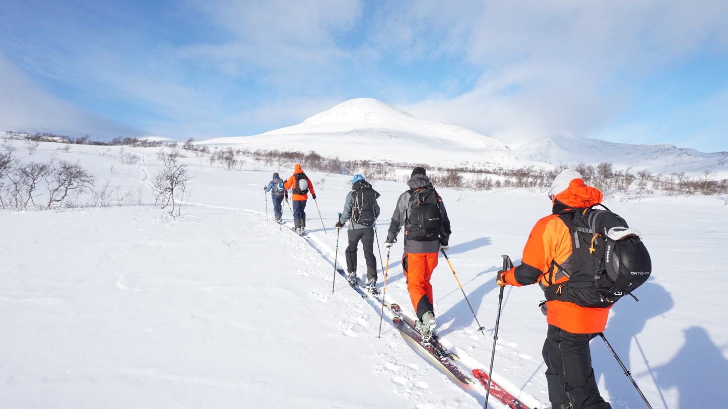 Freetouring Lavin- & Toppturskurs, Enaforsholm